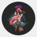 Search for girl pirate stickers Party