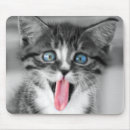Search for funny computer photography Cat