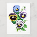 Search for vintage pansies postcards Flower