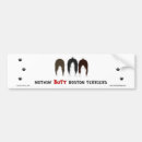 Search for boston terrier bumper stickers Pets