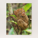 Search for monkey puzzles Exotic