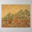 Search for van gogh olive trees posters Olives
