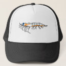 Search for aquatic hats Underwater