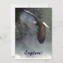 Search for bald eagles invitations Raptor