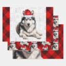 Search for husky christmas wrapping paper Pets
