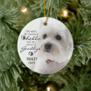 Search for quotes pet memorials Dogs