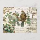 Search for vintage bird postcards French