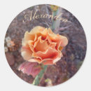 Search for peach flowers stickers Pretty
