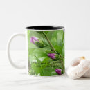 Search for song of solomon mugs Scripture