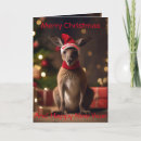 Search for kangaroo christmas cards Santa