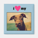 Search for my dog magnets Cute