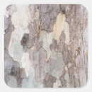Search for tree bark texture stickers Wood