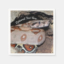 Search for boa constrictor Animal