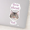 Search for annoyed stickers Cat