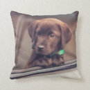 Search for chocolate labrador cushions Animal