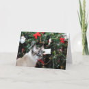 Search for siamese christmas cards Cat lover