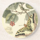 Search for dragonfly coasters Botanical