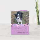 Search for border collie birthday cards Photography