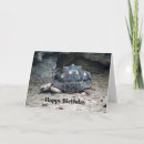 Search for reptile birthday cards Wildlife
