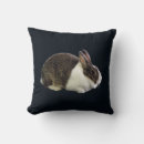 Search for dutch rabbit decor Animal