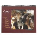 Search for cow calendars Country