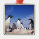 Search for penguins christmas tree decorations Fauna