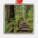Search for preservation christmas tree decorations National park