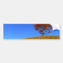 Search for autumn bumper stickers Tree