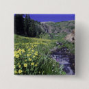 Search for alpine badges Outdoor