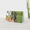 Search for herd cards Friend