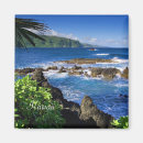 Search for hawaii magnets Tropical