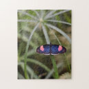 Search for flutter photography Garden