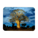 Search for on a tree magnets Horizontal