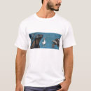 Search for galapagos islands tshirts Tortoise