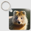 Search for fluffy key rings Wildlife
