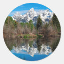 Search for dead tree stickers Landscape