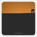 Search for kentucky horse stickers Usa