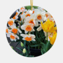 Search for daffodil christmas tree decorations Nature