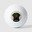 Search for labrador golf equipment Create your own