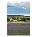 Search for english countryside posters Landscape