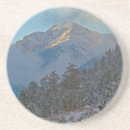 Search for colorado coasters Estes park