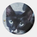 Search for curious cat Pet