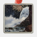 Search for colorado state christmas tree decorations Boulder