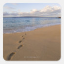 Search for maui beaches stickers Sand
