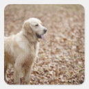 Search for dog park stickers Animal