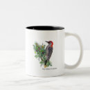 Search for red belly mugs Bird