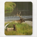 Search for mating mousepads Nature