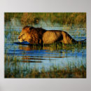 Search for water animal art Animals in the wild