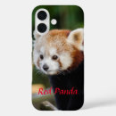 Search for red panda iphone cases Animal