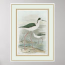 Search for coastal art Nature